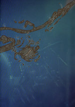 Film: Pelican - After the Ceiling Cracked (+ Mini-CD)