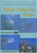 Film: Walhaie - Reise der Riesen