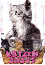 Film: Katzenbabys