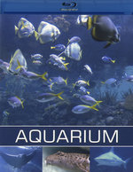 Film: Aquarium