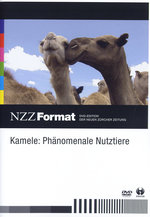 Film: Kamele - Phänomenale Nutztiere - NZZ Format