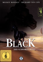 Film: Black - Der schwarze Blitz - Box 1 [4 DVDs]