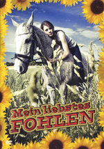 Film: Mein liebstes Fohlen