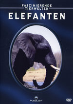 Film: Elefanten - Faszinierende Tierwelten