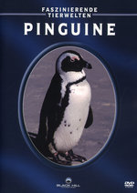 Film: Pinguine - Faszinierende Tierwelten