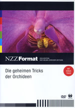 Film: Die geheimen Tricks der Orchideen - NZZ Format