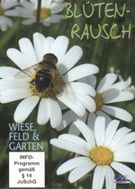 Film: Blütenrausch - Wiese, Feld und Garten