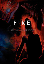 Film: Fire [2 DVDs]