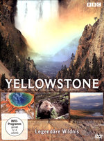 Film: Yellowstone - Legendäre Wildnis