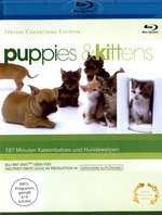 Film: Puppies & Kittens [SE] [CE]