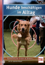 Film: Hunde beschäftigen im Alltag