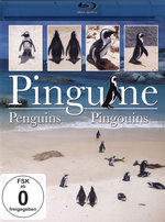 Film: Pinguine