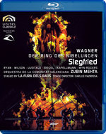 Film: Richard Wagner - Siegfried