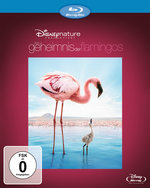 Film: Das Geheimnis der Flamingos