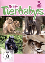 Film: Süße Tierbabys [3 DVDs]