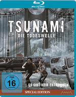 Film: Tsunami - Die Todeswelle [SE]