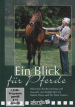 Film: Ein Blick für Pferde