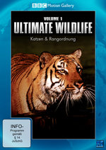 Film: Ultimate Wildlife Vol. 1 - Katzen & Rangordnung