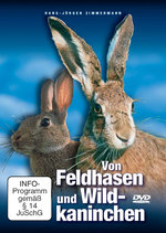 Film: Von Feldhasen und Wildkaninchen