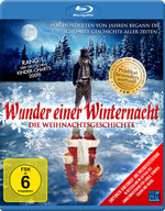 Film: Wunder einer Winternacht - Die Weihnachtsge...