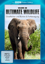 Film: Ultimate Wildlife Vol. 8 - Grasflächen und Bl...