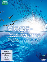 Film: Megaschwärme - Die Macht der Masse