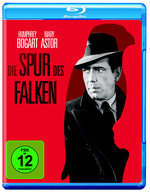 Film: Die Spur des Falken