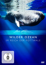 Film: Wilder Ozean - Im Reich der Pottwale