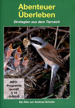 Film: Abenteuer Überleben - Strategien aus dem Tier...