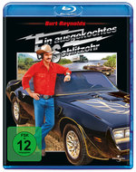 Film: Ein ausgekochtes Schlitzohr
