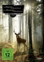 Film: Der Förster vom S.../Der Wilderer... [2 DVDs]