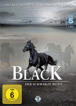 Film: Black - Der schwarze Blitz 5 [4 DVDs]