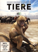 Film: Tiere - Hautnah erleben [2 DVDs]