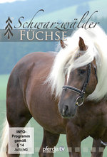 Film: Schwarzwälder Füchse