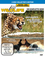 Film: Wildlife - Geparden/Raubtiere/Hippo/.. [2 DVDs]