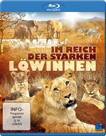 Film: Im Reich der starken Löwinnen