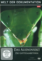 Film: Das Alieninsekt - Die Gottesanbeterin - Welt ...