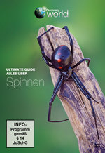 Film: Ultimate Guide - Alles über Spinnen - Discovery
