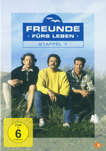 Film: Freunde fürs Leben - Staffel 1 [4 DVDs]