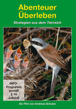 Film: Abenteuer Überleben - Strategien aus dem Tier...