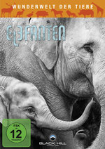 Film: Wunderwelt der Tiere - Elefanten