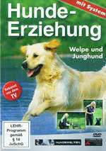 Film: Hunde Erziehung mit System - Welpe und Jung...