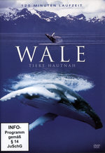 Film: Wale - Tiere hautnah