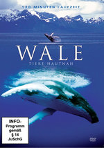 Film: Wale - Tiere hautnah