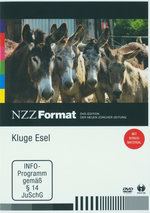 Film: Kluge Esel - NZZ Format