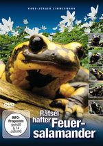 Film: Rätselhafter Feuersalamander