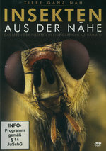 Film: Insekten aus der Nähe