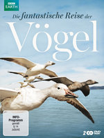 Film: Die fantastische Reise der Vögel [2 DVDs]