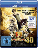 Film: Fighting Beat 2
