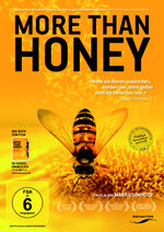 Film: More than Honey